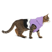 Wyvern Cancer Awareness Pet Hoodie